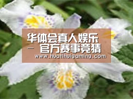 产品名称二