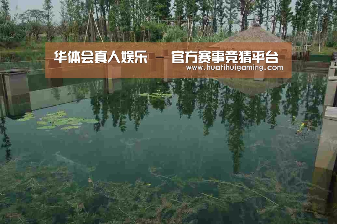 案例展示二