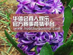 产品名称八