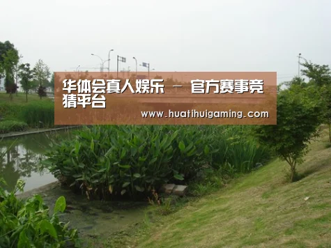 案例展示四