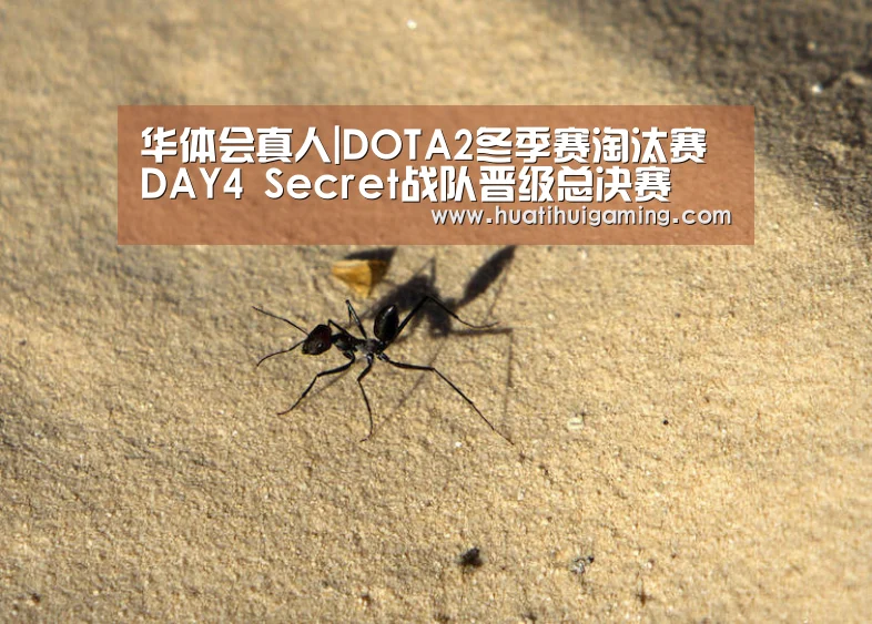 华体会真人|DOTA2冬季赛淘汰赛DAY4 Secret战队晋级总决赛(图2) 华体会真人
