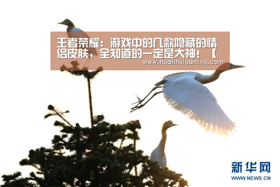 王者荣耀:游戏中的几款隐藏的情侣皮肤,全知道的一定是大神!【华体会体育】(图1) 华体会登录