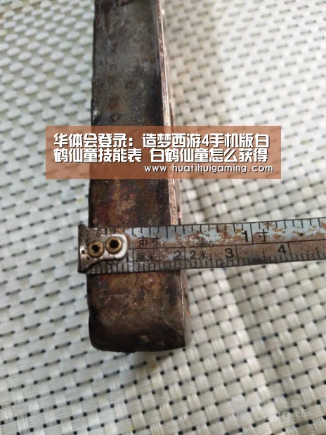华体会体育