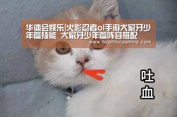 华体会娱乐|火影忍者ol手游犬冢牙少年篇技能 犬冢牙少年篇阵容搭配(图1) 华体会娱乐