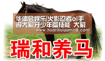 华体会娱乐|火影忍者ol手游犬冢牙少年篇技能 犬冢牙少年篇阵容搭配(图2) 华体会登录
