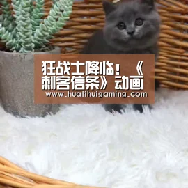 狂战士降临!《刺客信条》动画化决定【华体会登录】(图1) 华体会登录