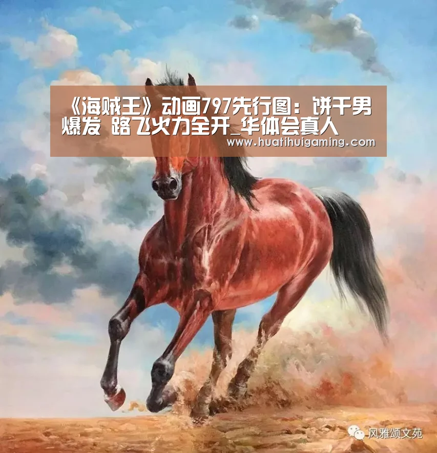 华体会登录