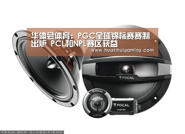 华体会体育:PGC全球锦标赛赛制出炉 PCL和NPL赛区获益(图2) 华体会体育