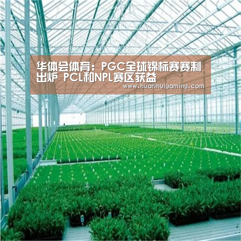华体会体育:PGC全球锦标赛赛制出炉 PCL和NPL赛区获益(图1) 华体会真人