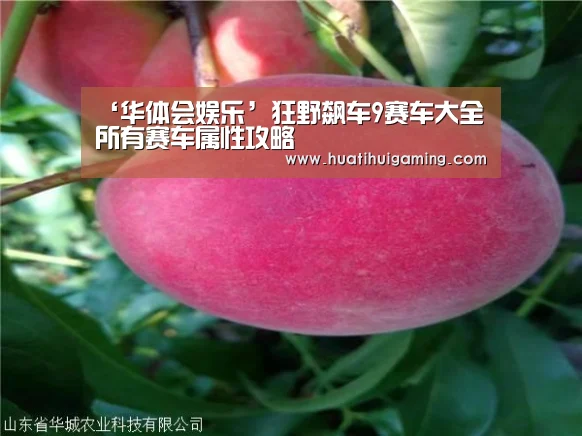 ‘华体会娱乐’狂野飙车9赛车大全 所有赛车属性攻略(图1) 华体会娱乐