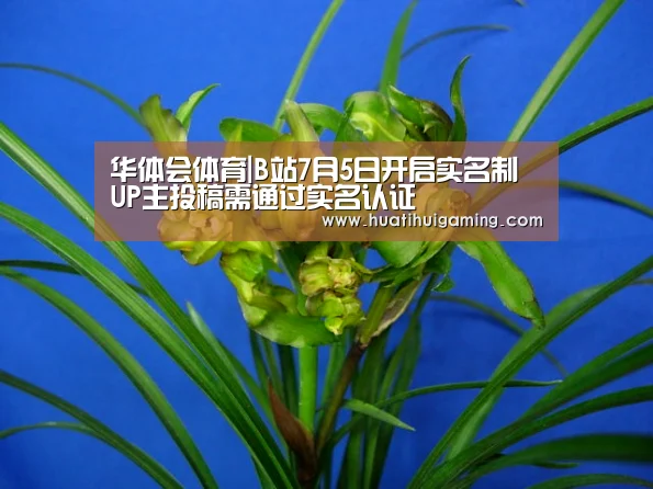 华体会体育|B站7月5日开启实名制 UP主投稿需通过实名认证(图2) 华体会体育