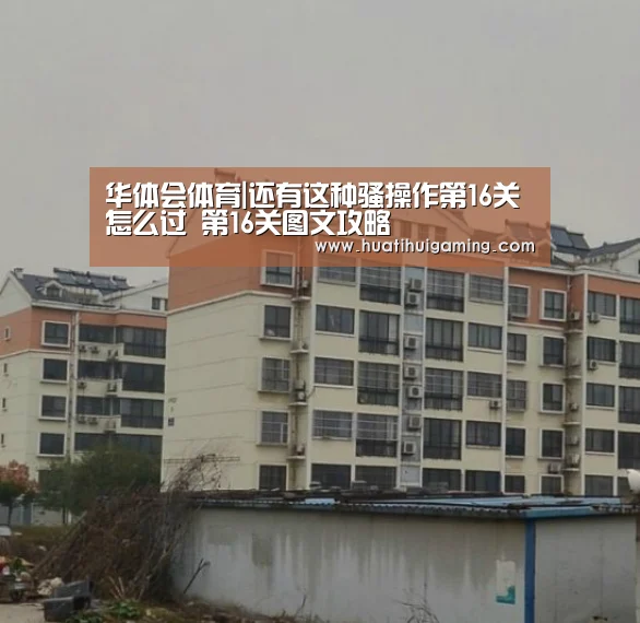 华体会体育|还有这种骚操作第16关怎么过 第16关图文攻略(图1) 华体会真人